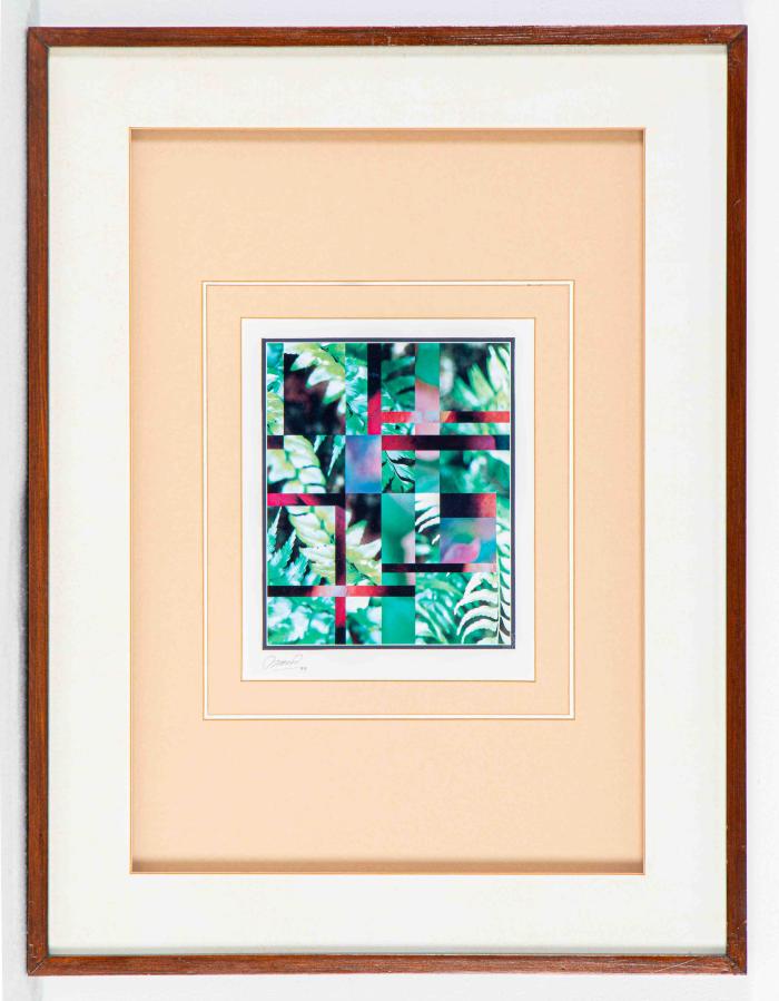 Untitled (Flowers Series)