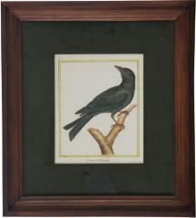 MP - Martinet, Francois Nicolas